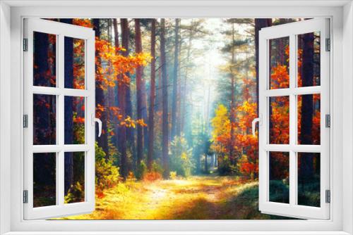Fototapeta Naklejka Na Ścianę Okno 3D - Autumn. Fall forest landscape