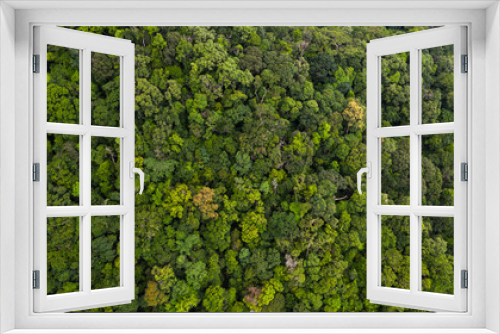 Fototapeta Naklejka Na Ścianę Okno 3D - Aerial view asian tropical rainforest, forest tree texture and background, Asia.