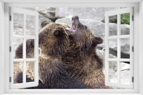 Fototapeta Naklejka Na Ścianę Okno 3D - Jeux d'ours grizzli