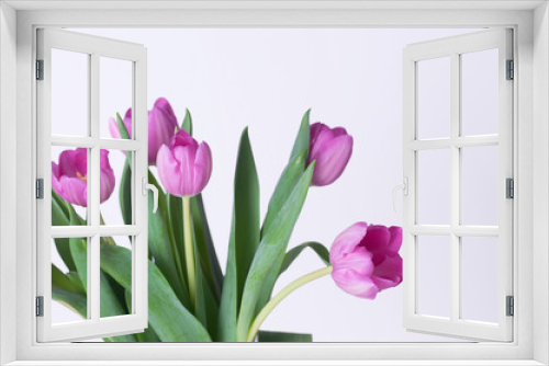 Fototapeta Naklejka Na Ścianę Okno 3D - tulip