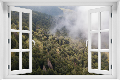 Fototapeta Naklejka Na Ścianę Okno 3D - Schwarzwald aus der Luft