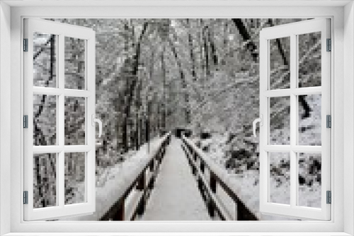 Fototapeta Naklejka Na Ścianę Okno 3D - path in winter forest