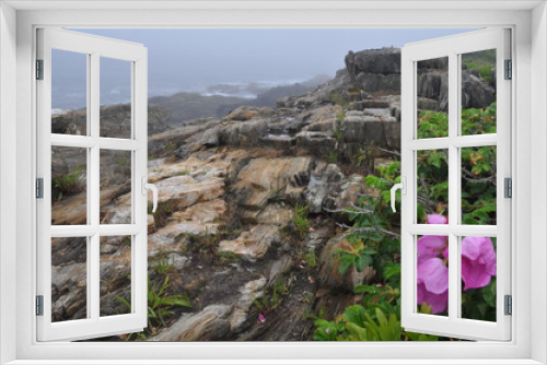 Fototapeta Naklejka Na Ścianę Okno 3D - Maine Rocky Coast Ocean & Pink Flower