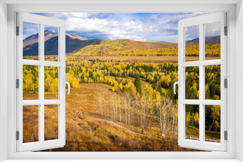 Fototapeta Naklejka Na Ścianę Okno 3D - Xinjiang Hemu birch forest autumn scenery