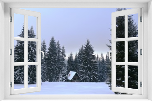 Fototapeta Naklejka Na Ścianę Okno 3D - winter landscape with trees