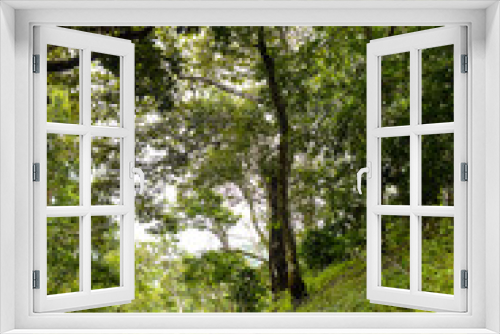 Fototapeta Naklejka Na Ścianę Okno 3D - path in the forest, Tree Day