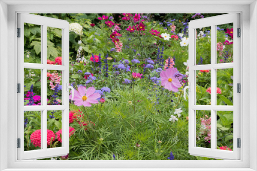 Fototapeta Naklejka Na Ścianę Okno 3D - herbstliches Blumenbeet mit rosa Cosmea, Löwenmäulchen, blauer Salbei und weißen Graslilien