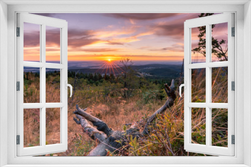 Fototapeta Naklejka Na Ścianę Okno 3D - Baumstam am Hang in der Natur 