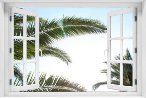Fototapeta Naklejka Na Ścianę Okno 3D - palm tree nature background blue sky