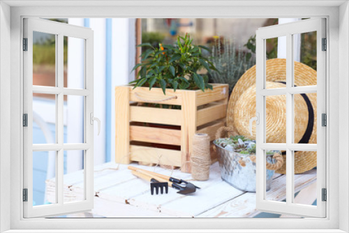 Fototapeta Naklejka Na Ścianę Okno 3D - Gardening tools, plants and straw hat on white wooden table outdoors