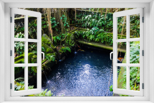 Fototapeta Naklejka Na Ścianę Okno 3D - Artificial pond in the jungle, an ancient pool in the jungle