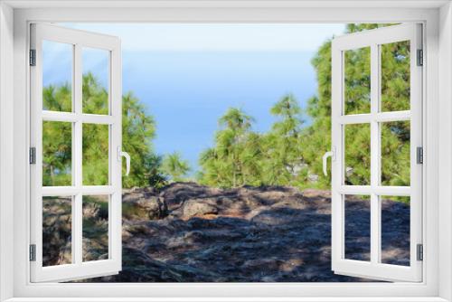Fototapeta Naklejka Na Ścianę Okno 3D - Tamadaba forest