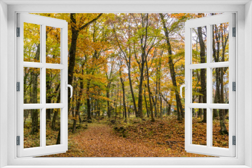 Fototapeta Naklejka Na Ścianę Okno 3D - Autumn landscape