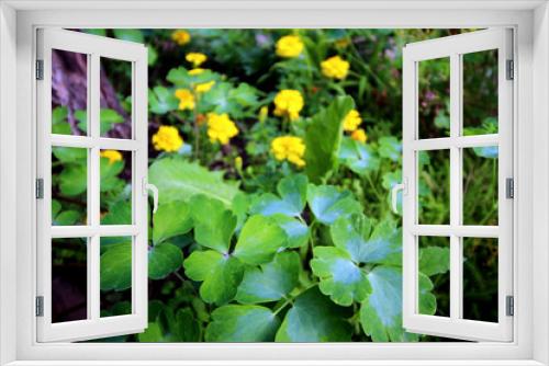 Fototapeta Naklejka Na Ścianę Okno 3D - Petites fleurs jaunes