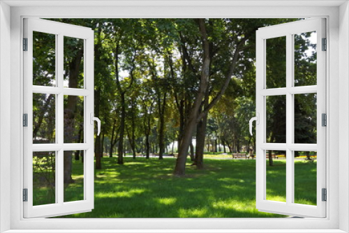Fototapeta Naklejka Na Ścianę Okno 3D - trees in the park