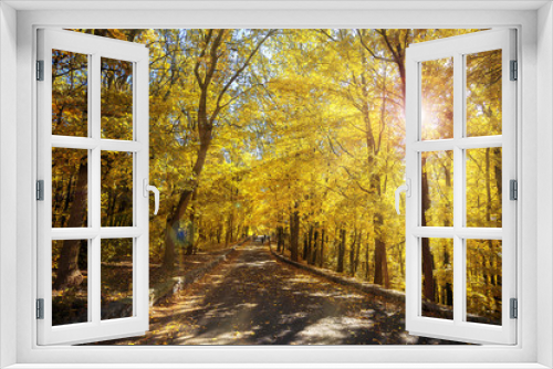 Fototapeta Naklejka Na Ścianę Okno 3D - Gold autumn landscape, wallpaper. Sun rays make their way through trees and illuminate the road passing through forest. Beauty of season nature. Walking in Park on fresh air, as a healthy lifestyle.