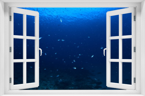 Fototapeta Naklejka Na Ścianę Okno 3D -  acuático piscina azul mar con textura natación verano claro oceáno abstracta recubrir turquesa dechado mecer olas aseado liquida diáfano mojado mecer olas acuático naturaleza alumbrado