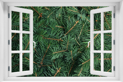 Fototapeta Naklejka Na Ścianę Okno 3D - Branches of Christmas tree as background, closeup