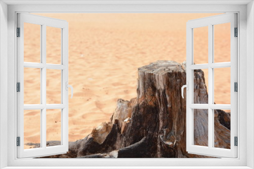 Fototapeta Naklejka Na Ścianę Okno 3D - tree in sand