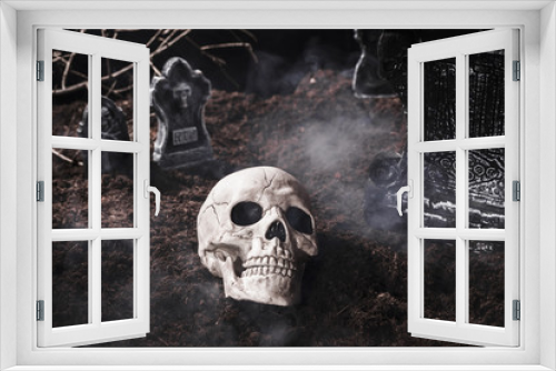Fototapeta Naklejka Na Ścianę Okno 3D - Human skull in smoke at Halloween cemetery