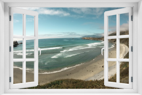 Fototapeta Naklejka Na Ścianę Okno 3D - Playa Big Sur en California, Sand Dollar