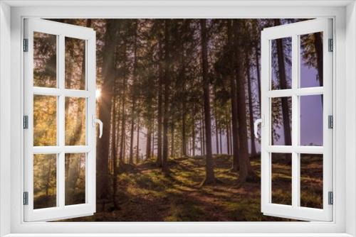 Fototapeta Naklejka Na Ścianę Okno 3D - idyllic sunset in a forest in germany