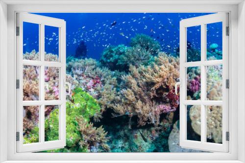 Fototapeta Naklejka Na Ścianę Okno 3D - Female SCUBA diver on a colorful coral reef