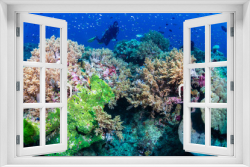 Fototapeta Naklejka Na Ścianę Okno 3D - Female SCUBA diver on a colorful coral reef