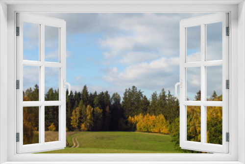 Fototapeta Naklejka Na Ścianę Okno 3D - colorful autumn landscape, meadow and forest edge, dramatic clouds, scenic rural fall 