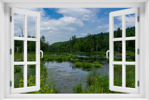 Fototapeta Naklejka Na Ścianę Okno 3D - Marshy Wilderness Pond
