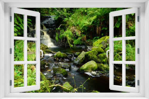 Fototapeta Naklejka Na Ścianę Okno 3D - Hidden Waterfall and stream in Glenariff Forest Park, Antrim, Northern Ireland