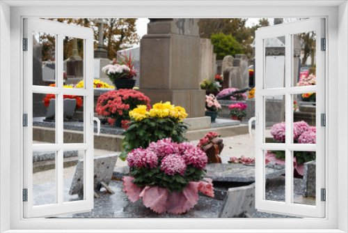 Fototapeta Naklejka Na Ścianę Okno 3D - Chrysanthemum plants on tombstones for All Saints Day