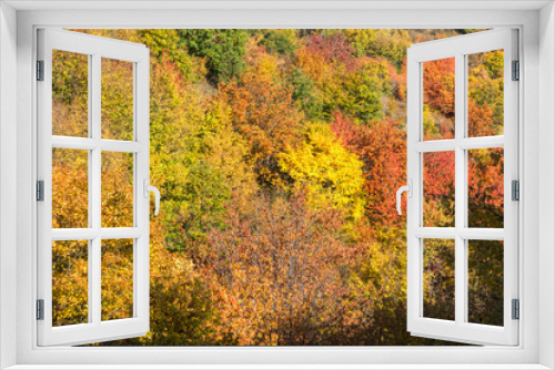 Fototapeta Naklejka Na Ścianę Okno 3D - Autumn view of Cherna Gora (Monte Negro) mountain, Pernik Region, Bulgaria
