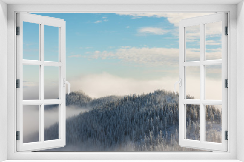 Fototapeta Naklejka Na Ścianę Okno 3D - Winter landscapes from the Ukrainian Carpathian Mountains with many fogs and snowy slopes of mountains and trees in the frame