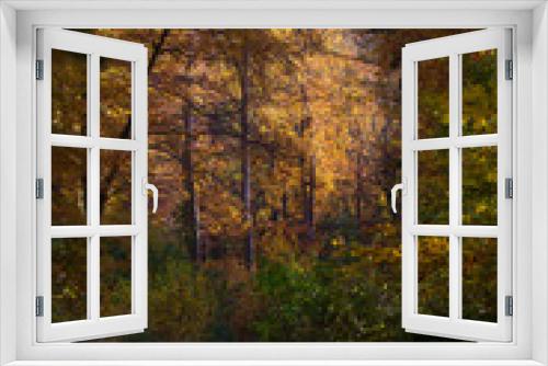 Fototapeta Naklejka Na Ścianę Okno 3D - beech forest