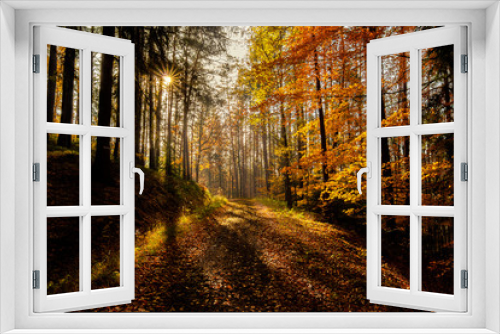 Fototapeta Naklejka Na Ścianę Okno 3D - Beautiful and peaceful autumn scene, a road leading towards sun peaking through the trees. Leaves of many warm tones and colors, long shadows, haze and warmth. Pure nature, clean and amazing.