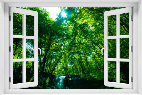 Fototapeta Naklejka Na Ścianę Okno 3D - 兵庫県・緑深い峡谷の風景