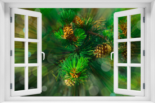 Fototapeta Naklejka Na Ścianę Okno 3D - Christmas blurred background. Unfocused fir tree with cones and light