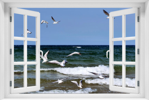 Fototapeta Naklejka Na Ścianę Okno 3D - Lecące stado mew nad morzem