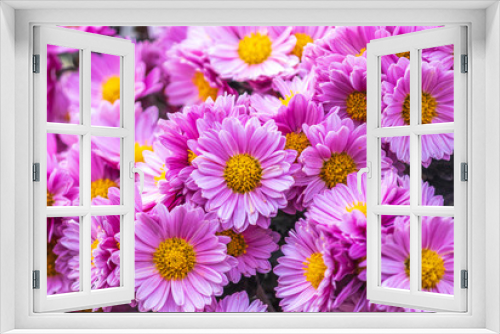 Fototapeta Naklejka Na Ścianę Okno 3D - background of flowers