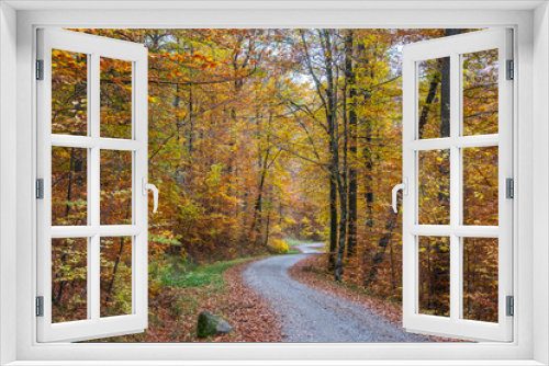 Fototapeta Naklejka Na Ścianę Okno 3D - wooded road in autumn