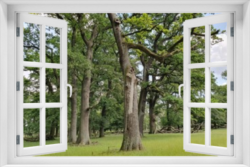 Fototapeta Naklejka Na Ścianę Okno 3D - Natur (Germany)