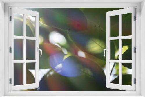 Fototapeta Naklejka Na Ścianę Okno 3D - Atmospheric beams of light in the color ranges of red, orange, yellow, green, blue, indigo and violet. Dreaming design element for relaxing backgrounds or nature themes.