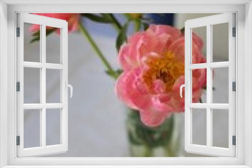 Fototapeta Naklejka Na Ścianę Okno 3D - Pink flower