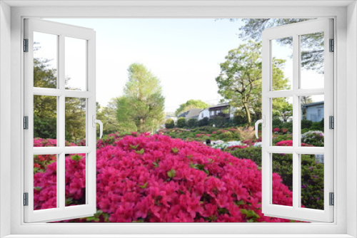 Fototapeta Naklejka Na Ścianę Okno 3D - お花