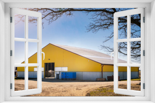 Fototapeta Naklejka Na Ścianę Okno 3D - Modern Yellow colour dairy cow farm.