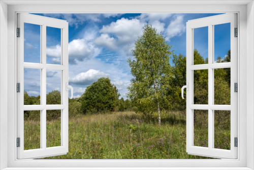 Fototapeta Naklejka Na Ścianę Okno 3D - Landscape with a birch and other trees with a beautiful cloudy sky.