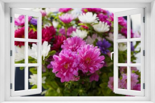 Fototapeta Naklejka Na Ścianę Okno 3D - Flowers photo top purple, white pink, Callistephus chinensis.  