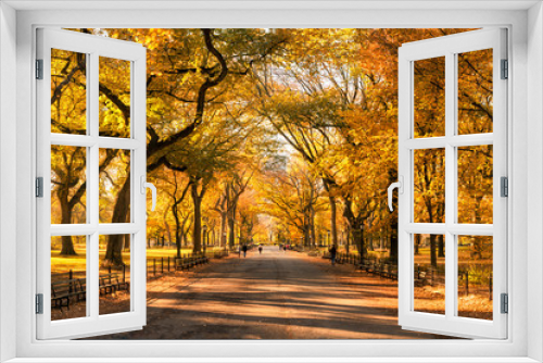 Fototapeta Naklejka Na Ścianę Okno 3D - Colorful Central Park in New York City during autumn season