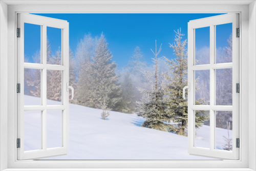 Fototapeta Naklejka Na Ścianę Okno 3D - forenoon fairy tail in winter. spruce trees in hoarfrost on the snow covered meadow. forest in the distance beneath a clear blue sky. magic moment of the white season